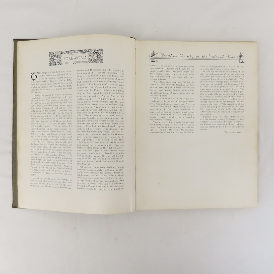 Goodhue County In The World War Hardcover Book - 5