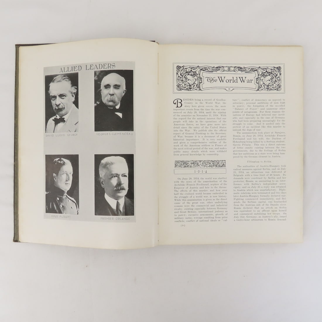 Goodhue County In The World War Hardcover Book - 6