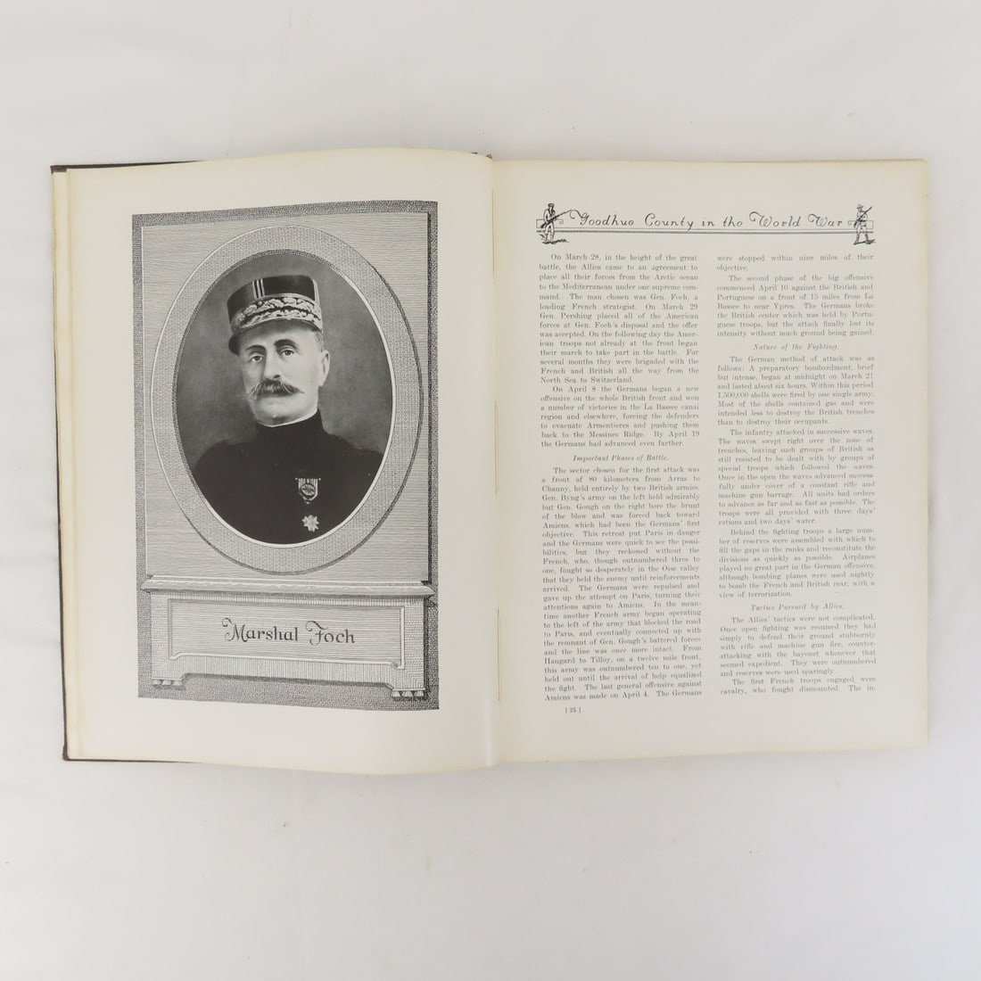 Goodhue County In The World War Hardcover Book - 7