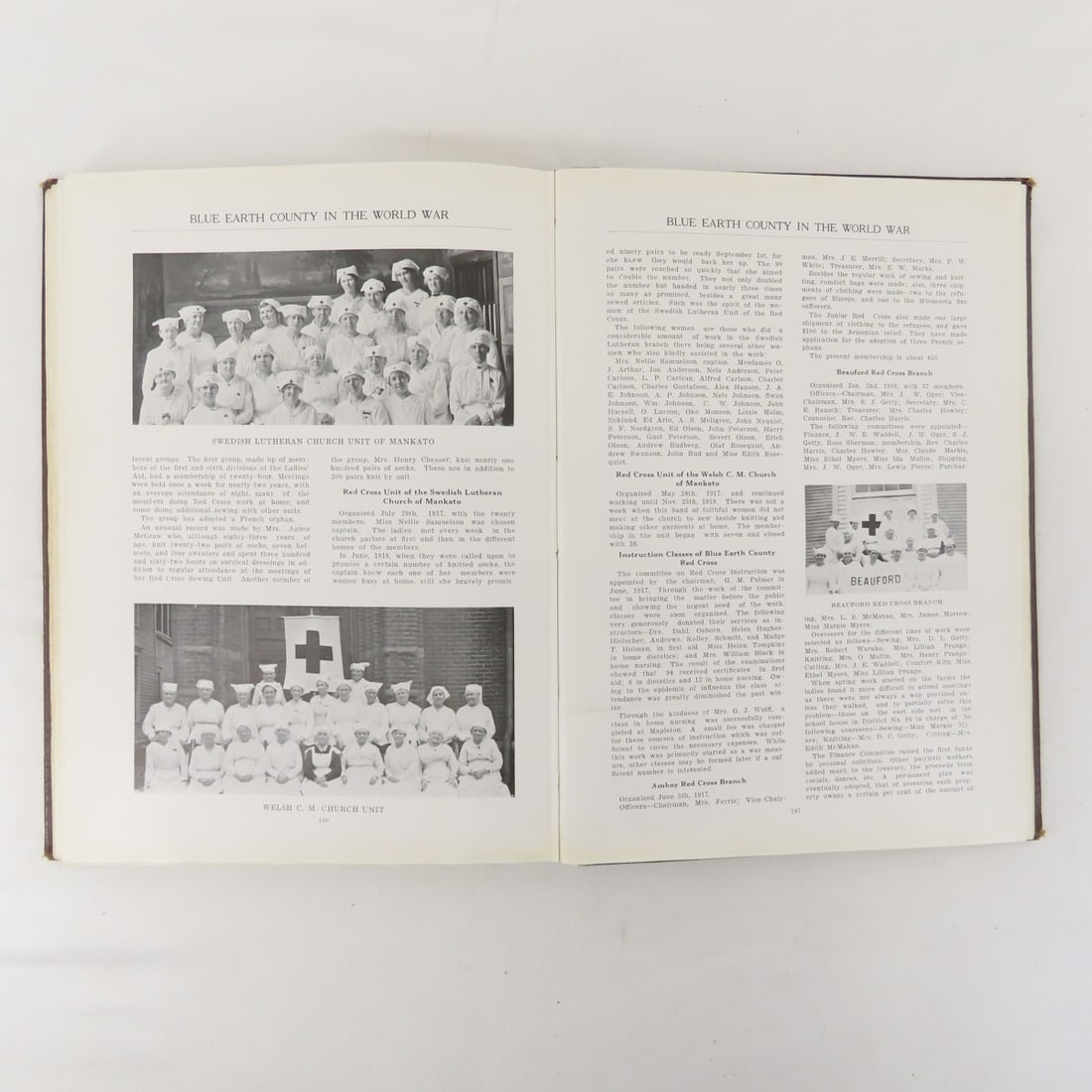 Blue Earth County In The World War Hardcover Book - 15