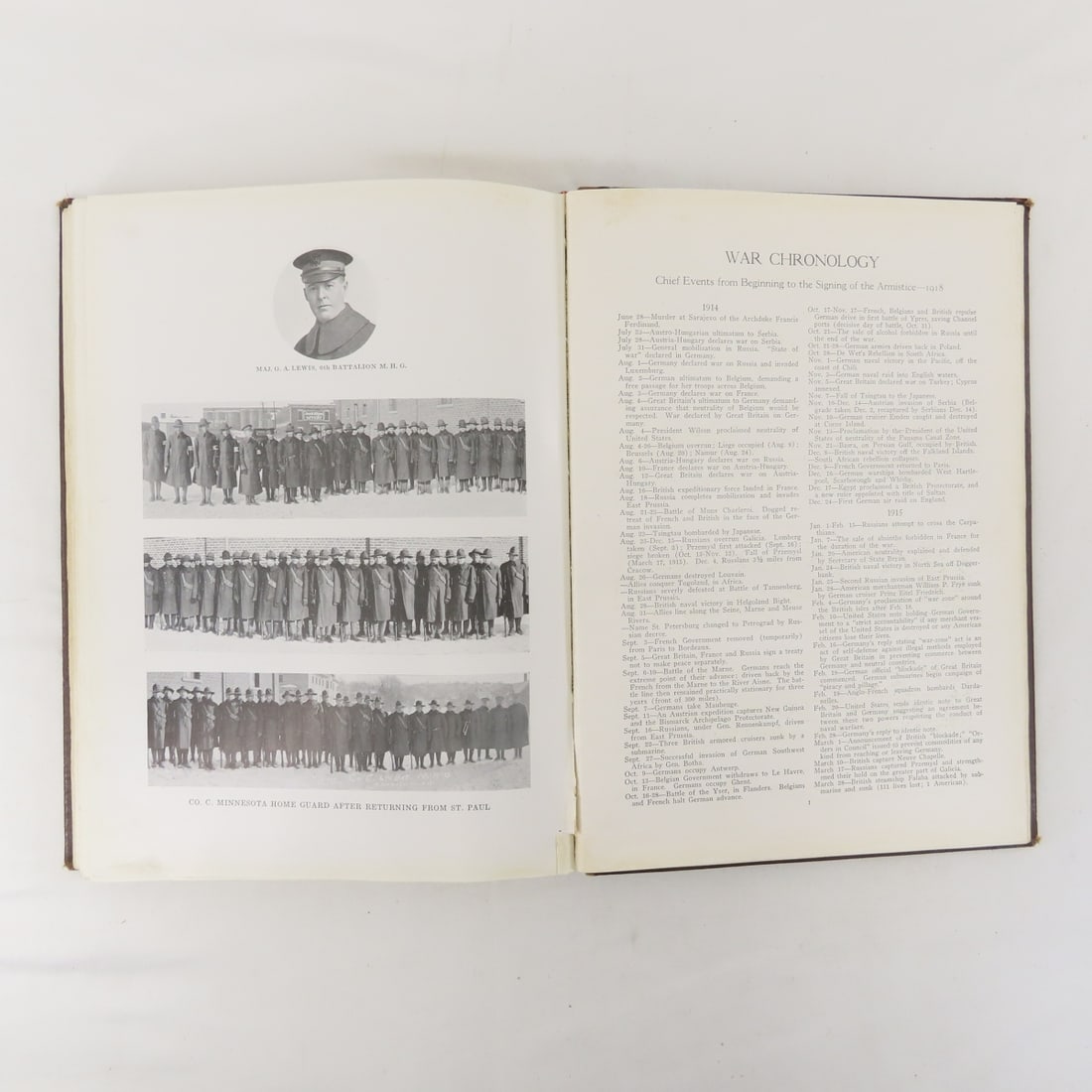 Blue Earth County In The World War Hardcover Book - 17