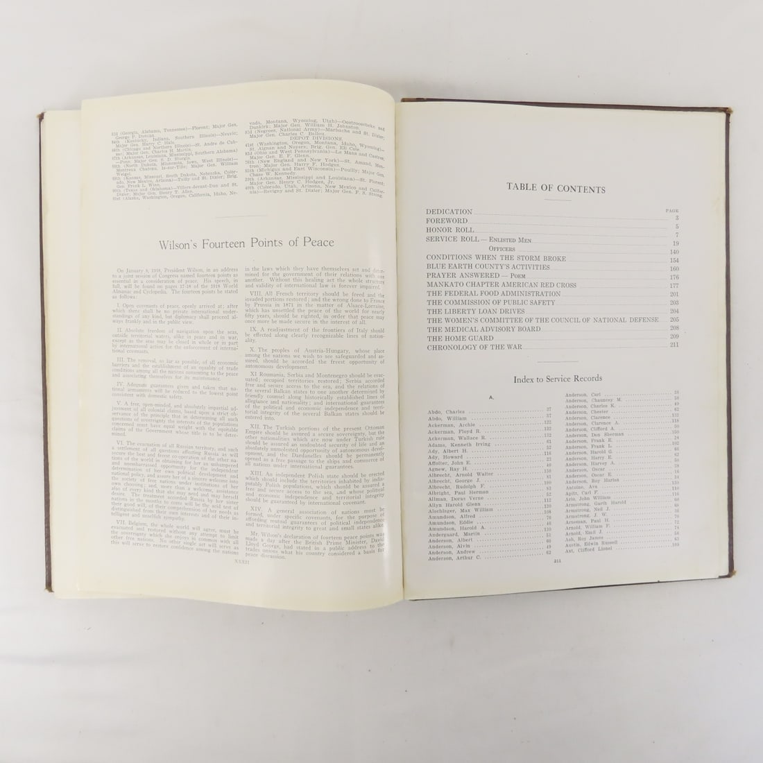 Blue Earth County In The World War Hardcover Book - 18