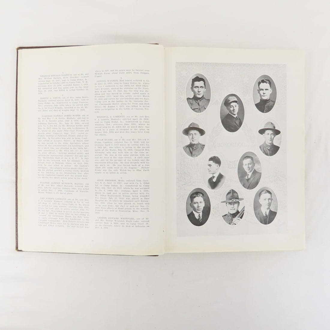 Blue Earth County In The World War Hardcover Book - 6