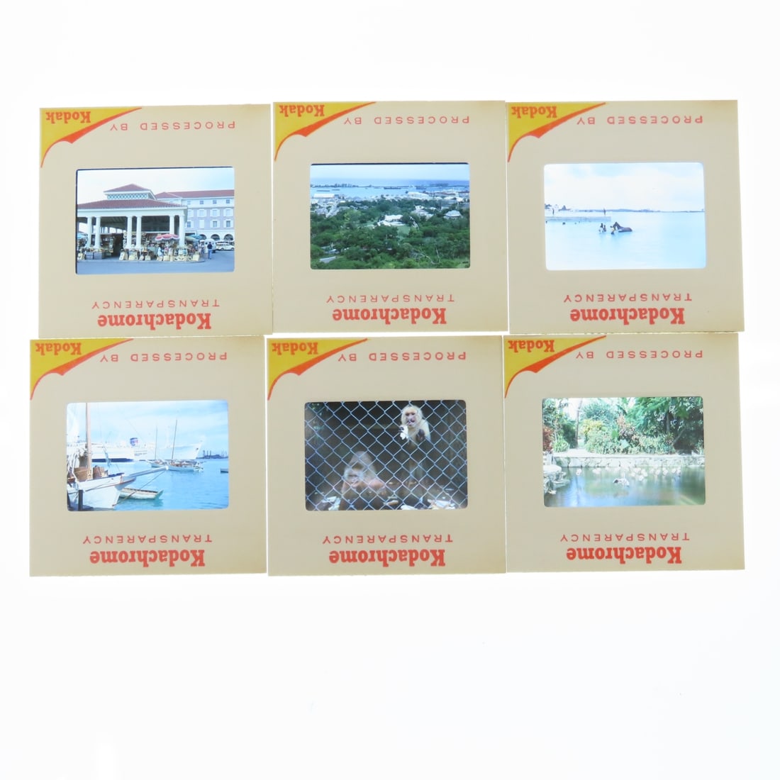Kodak Carousel slide trays of vintage slides - 14