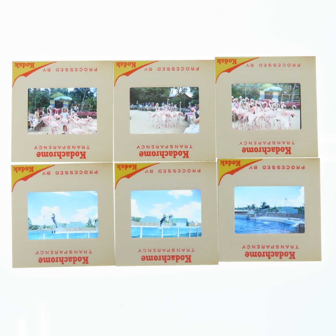 Kodak Carousel slide trays of vintage slides - 15