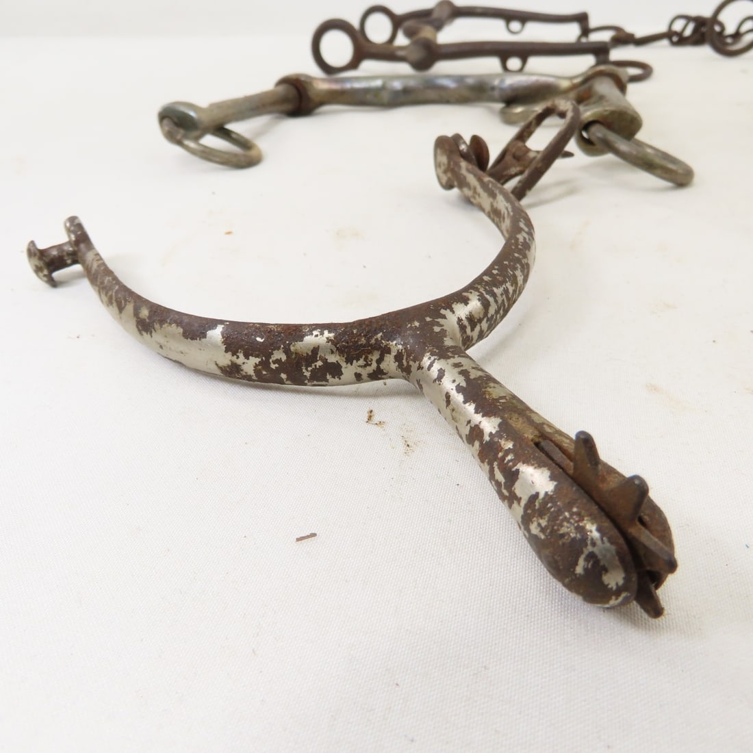 Collection of US Cavalry Horse Bits, Brush & more - 11