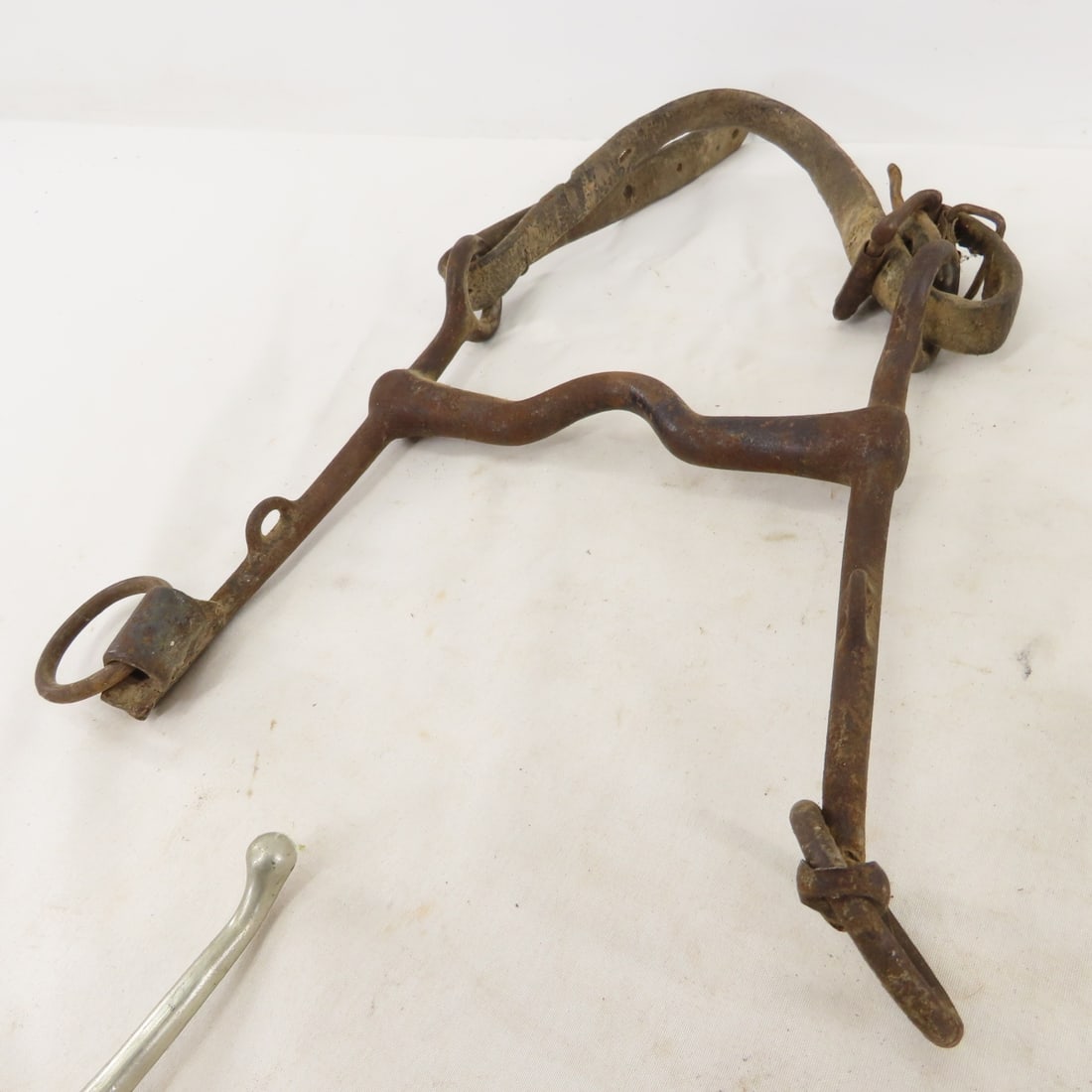 Collection of US Cavalry Horse Bits, Brush & more - 13