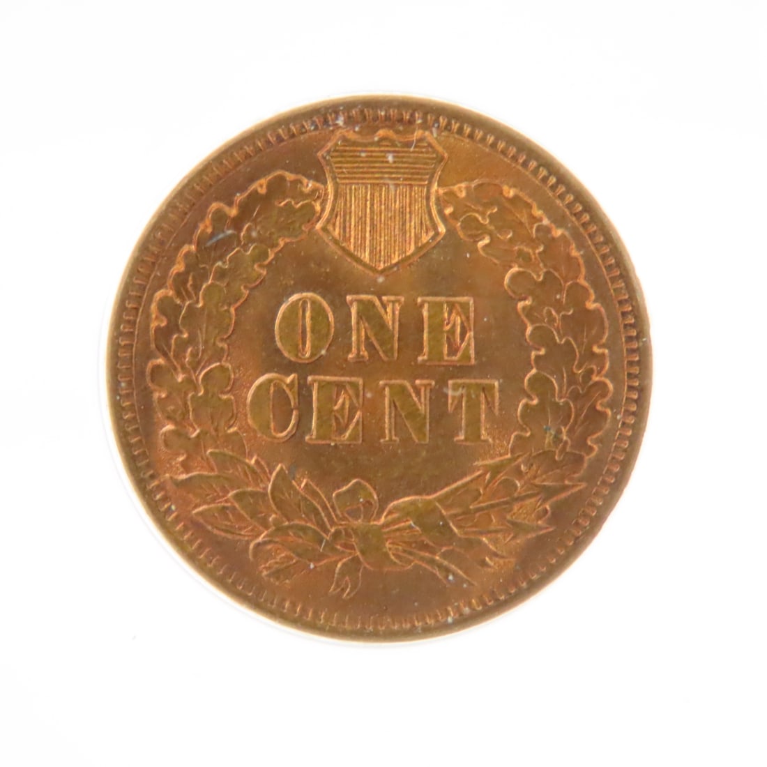 1901 Indian Head Cent ANACS MS64 - 4