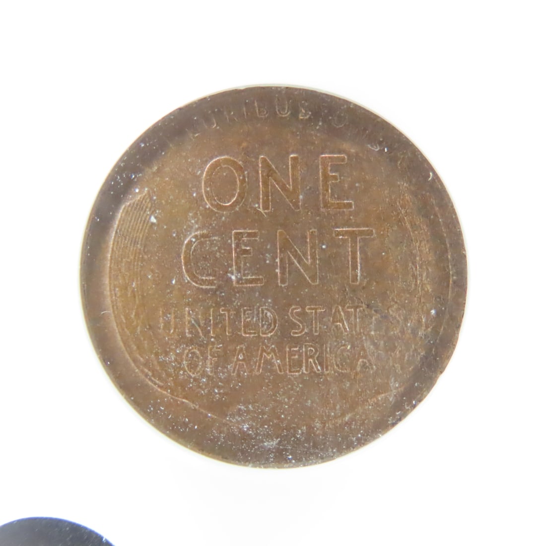 1929 D Lincoln Head Wheat Cent ANACS MS63RB - 4