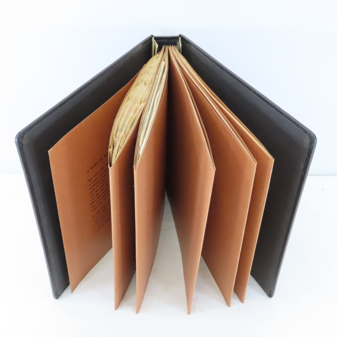 Mint Sheets, Album & Plate Blocks - Primarily US: Mint Sheets, Album & Plate Blocks - Primarily US - LOT SIZE: 13x12x2", 5 LBS All information and photos are intended to be as accurate as possible, but errors are possible. No item may be returned or