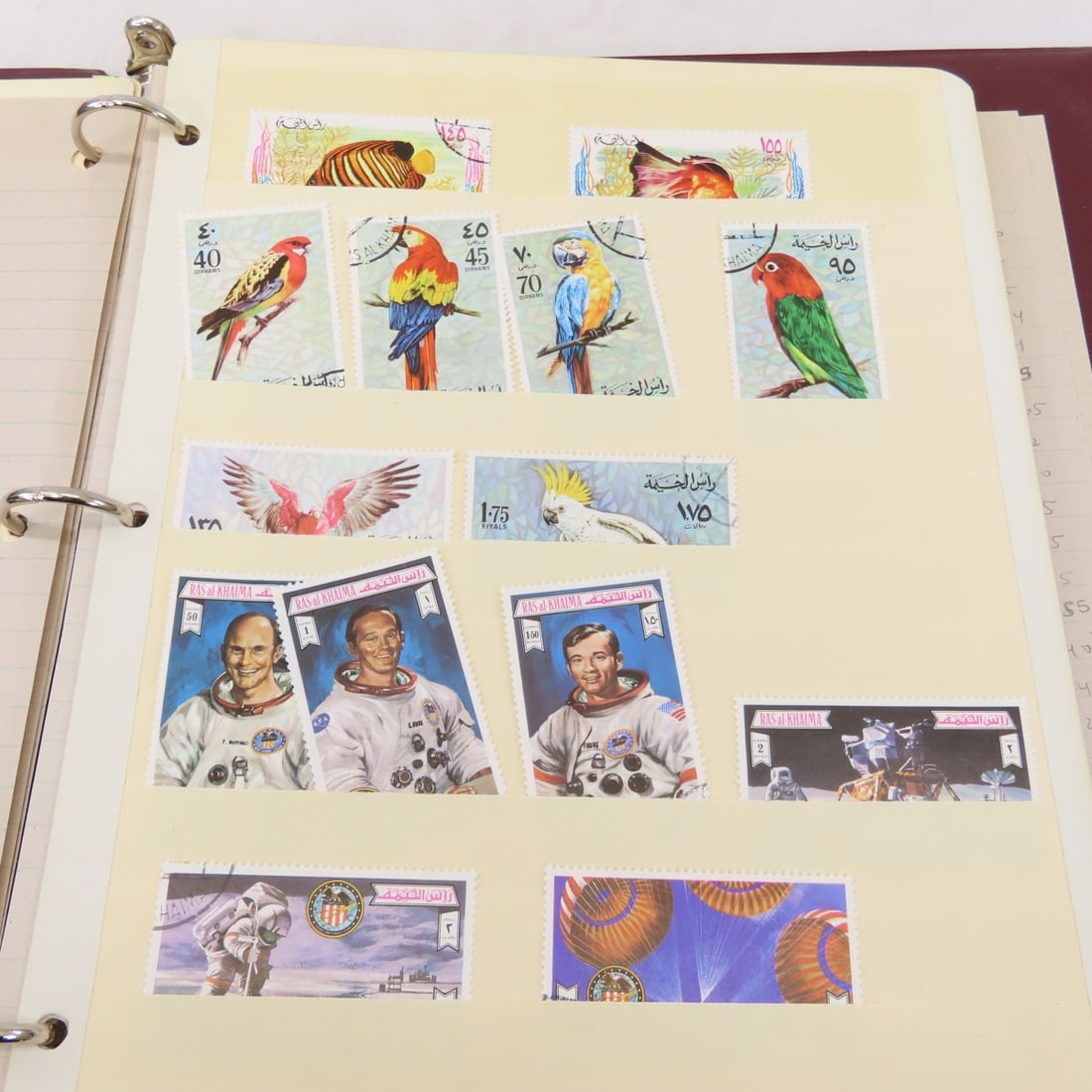 4 Binders of Worldwide Stamps in Stock Sheets - 19