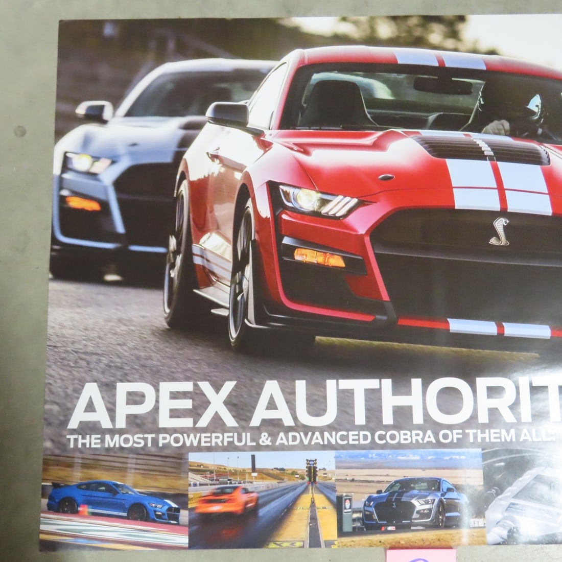 8 Different Shelby GT 350 Dealer Promo Posters - 15