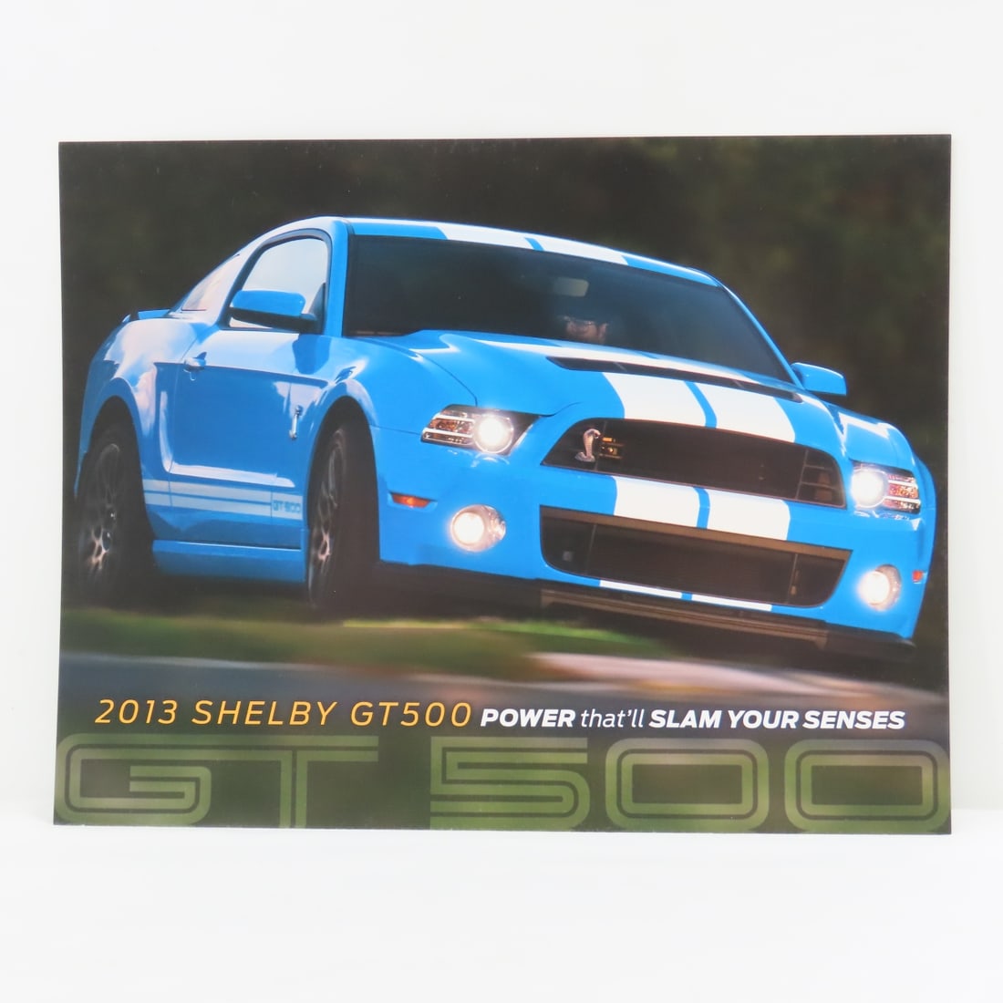 32 Shelby GT 500 Flyers & Business Card Holder - 10