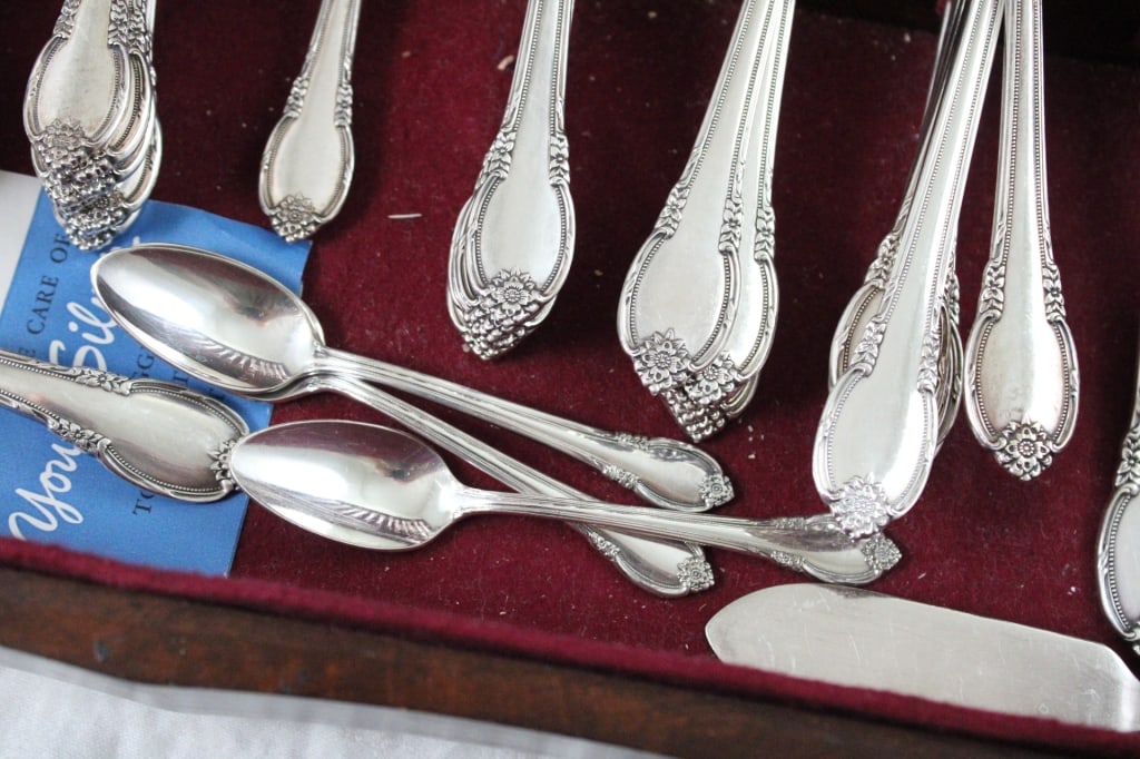 1847 Rogers Remembrance Silver Plate Flatware - 9