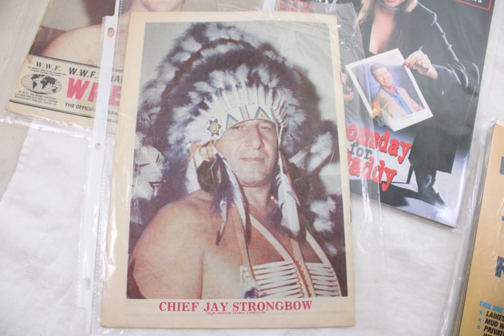 Vintage WWF Programs & Magazines - 12