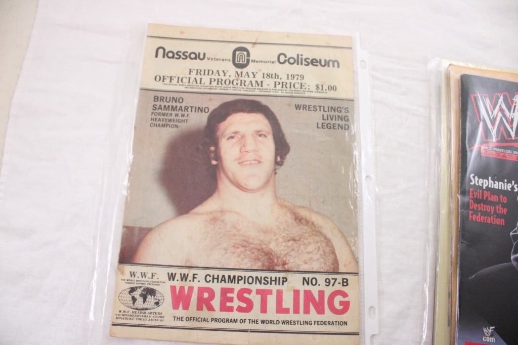 Vintage WWF Programs & Magazines - 18