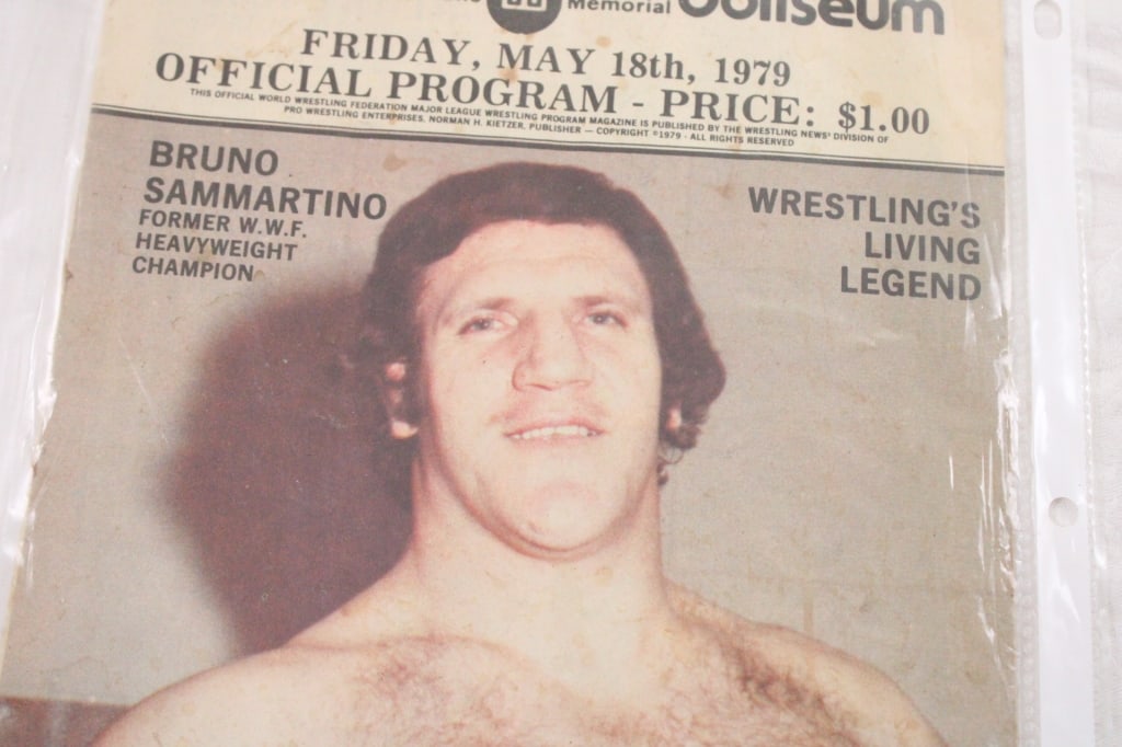 Vintage WWF Programs & Magazines - 20