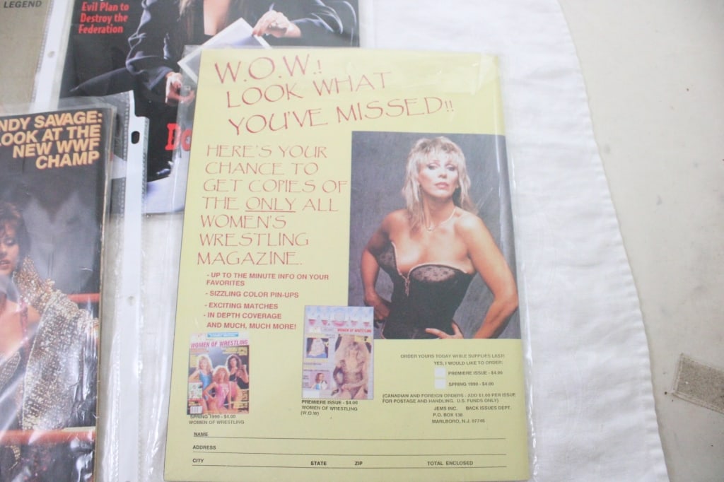 Vintage WWF Programs & Magazines - 4