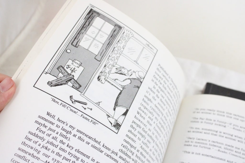 POGO, Far Side & Pearls Comic Books - 10