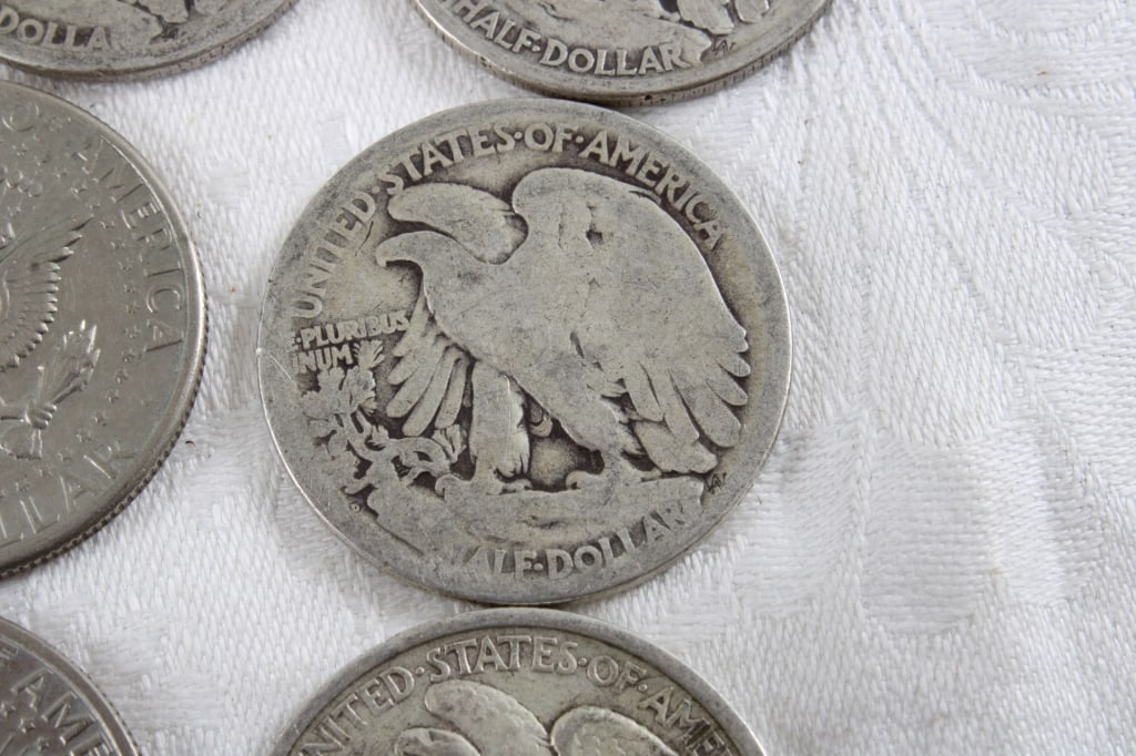9 Walking Liberty & Kennedy Half Dollars - 18