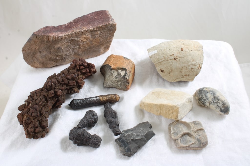 Fossils, Dinosaur Bone Fragment, Petrified Wood (1 of 20)
