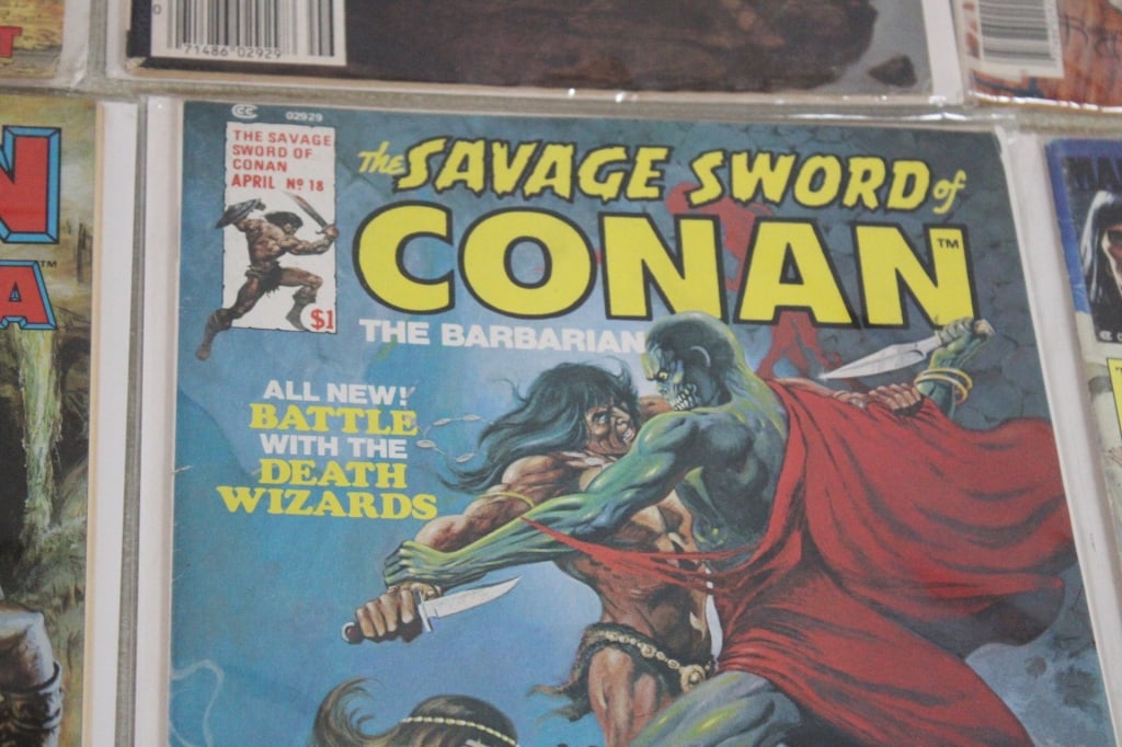 Conan Saga Comics & Graphic Novels - 10