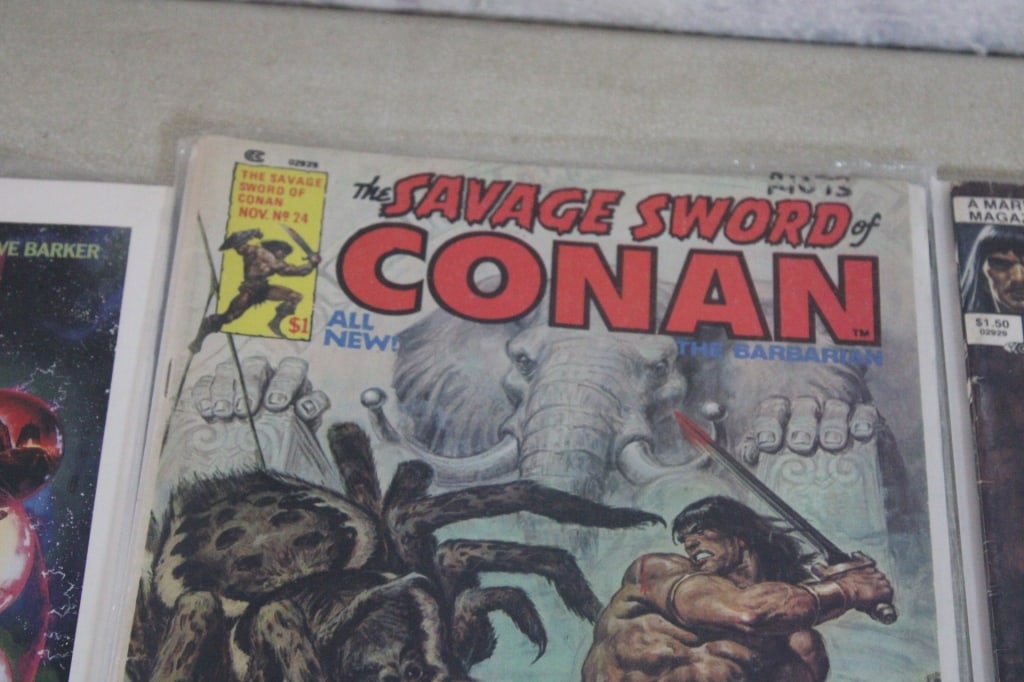 Conan Saga Comics & Graphic Novels - 12