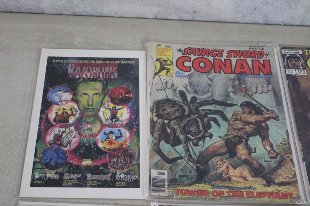 Conan Saga Comics & Graphic Novels - 2