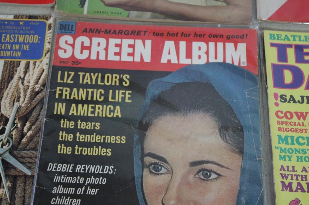 20 Plus Hollywood Celebrity Vintage Magazines - 10