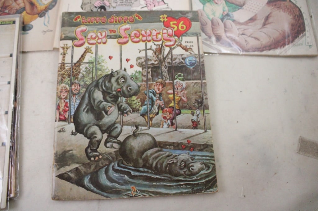 Humorous & Other Comic Magazines - 4