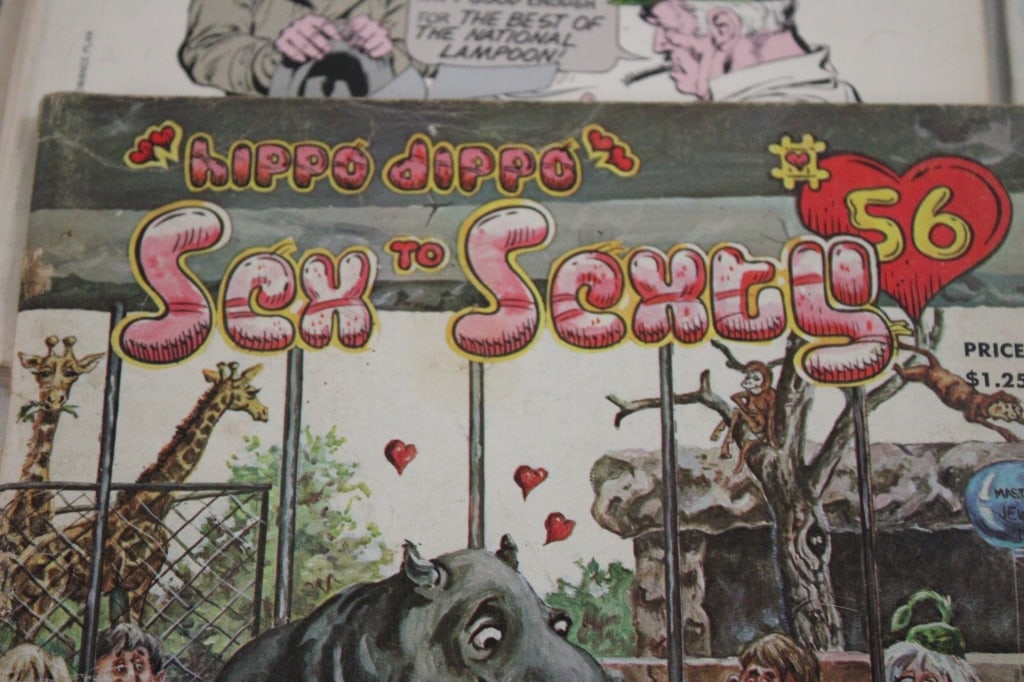 Humorous & Other Comic Magazines - 5