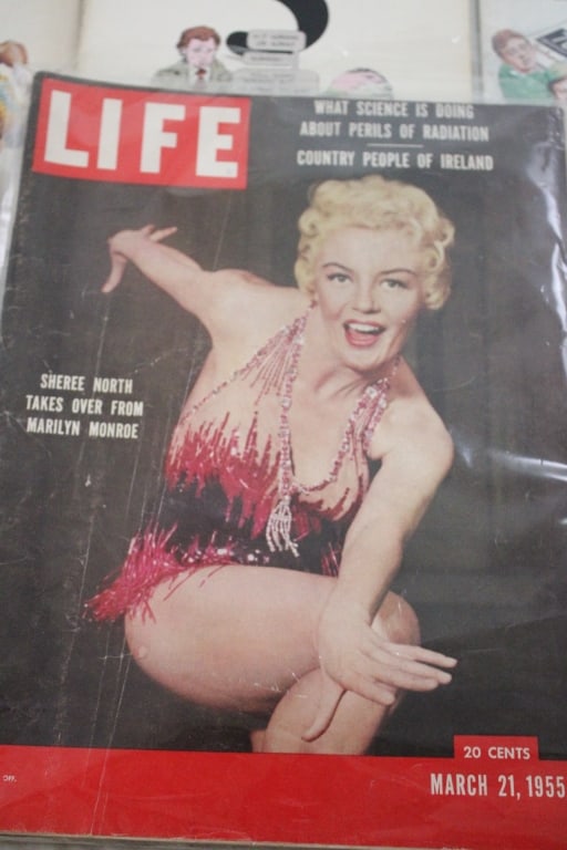 Humorous & Other Comic Magazines - 9