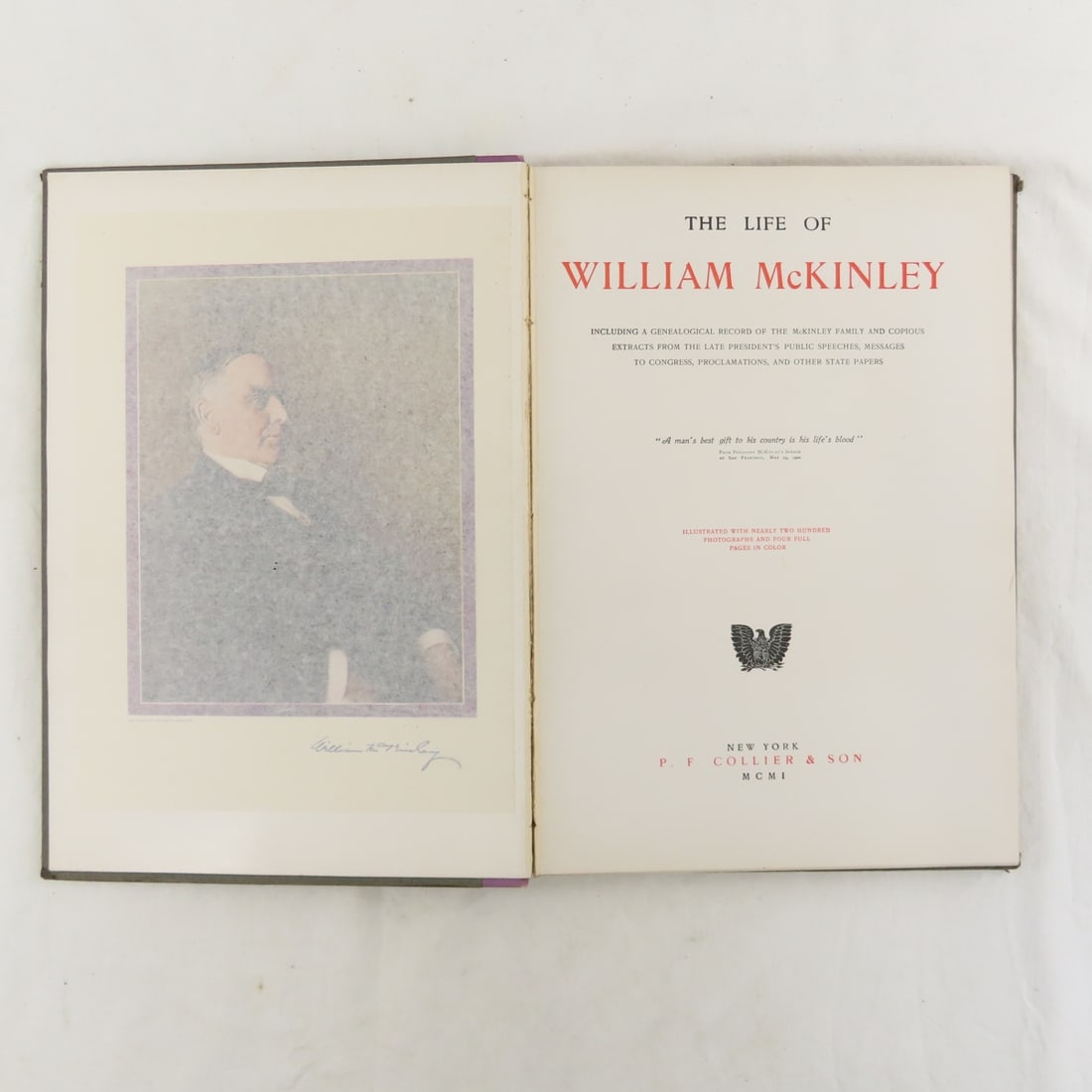 4 Antique Hardcover Books- Remington, McKinley - 10