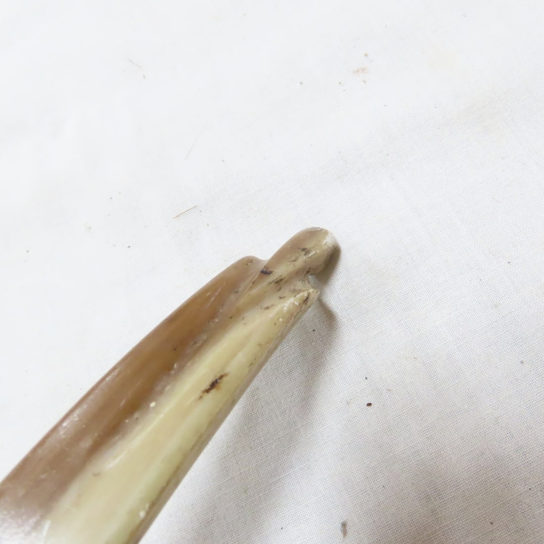 Vintage Ben Pearson & Brushmaster Recurve Bows - 8