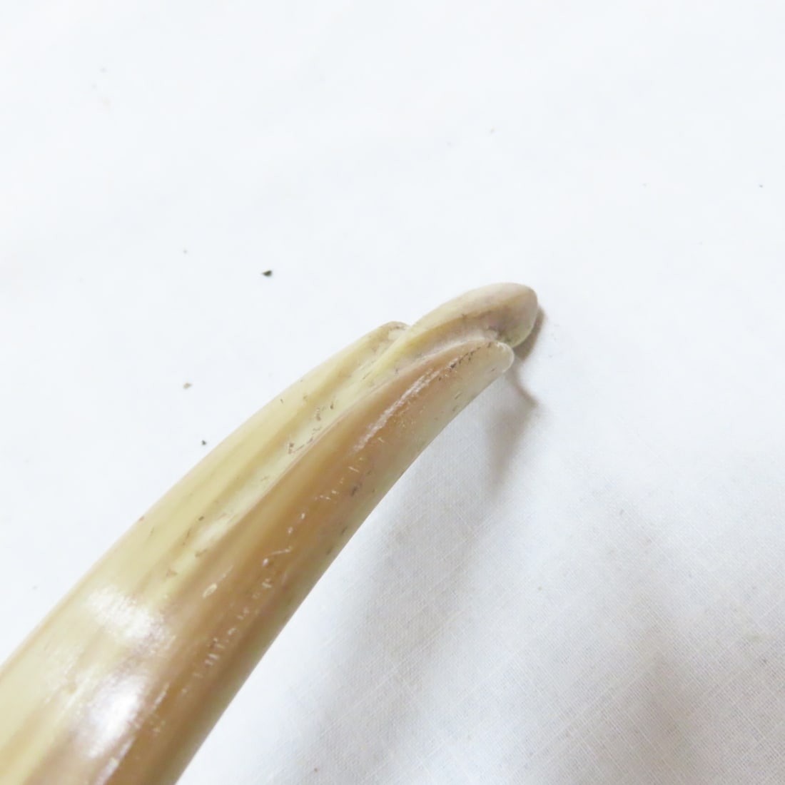 Vintage Ben Pearson & Brushmaster Recurve Bows - 9