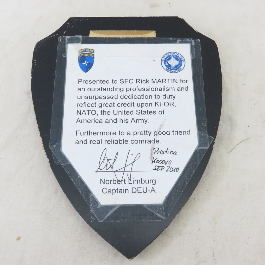 Richard Martin Framed Military Certificates & More - 15