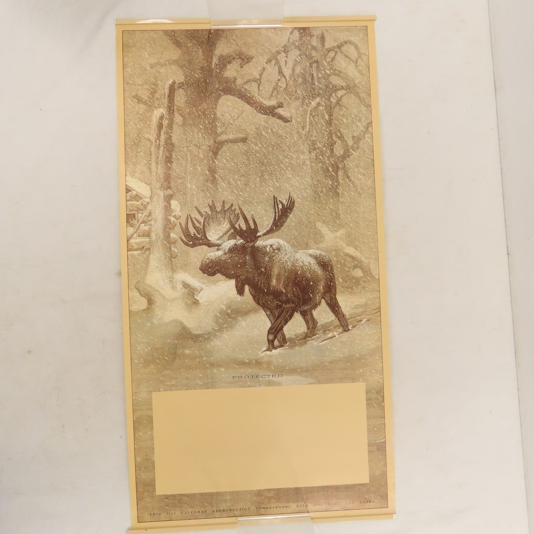 Pheasant & Duck Stamp Prints and Repro Calendars - 11
