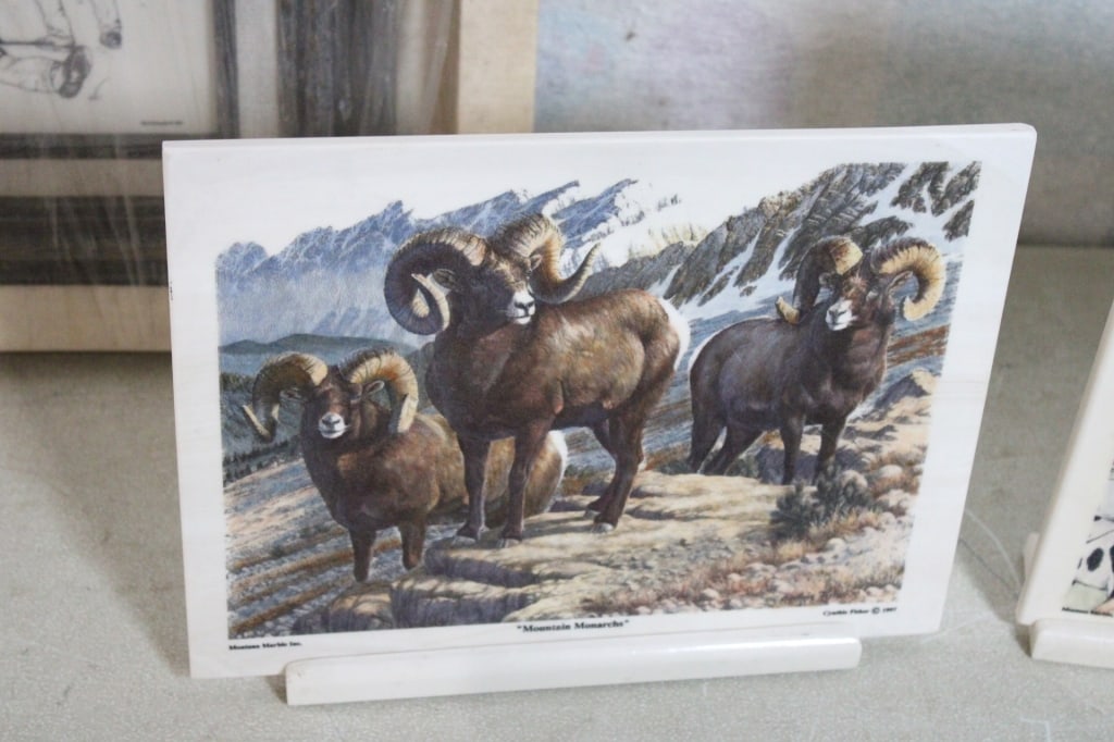 Etched Montana Marble Wildlife Art by Bernie Brown - 6