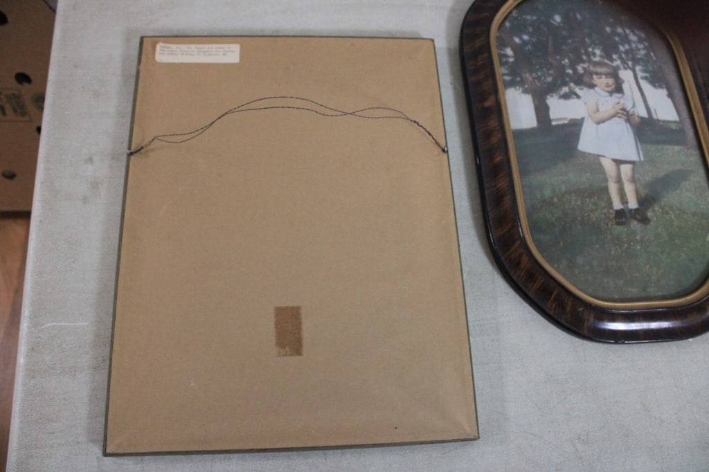 5 Antique Framed Prints Includes J Gould - 7