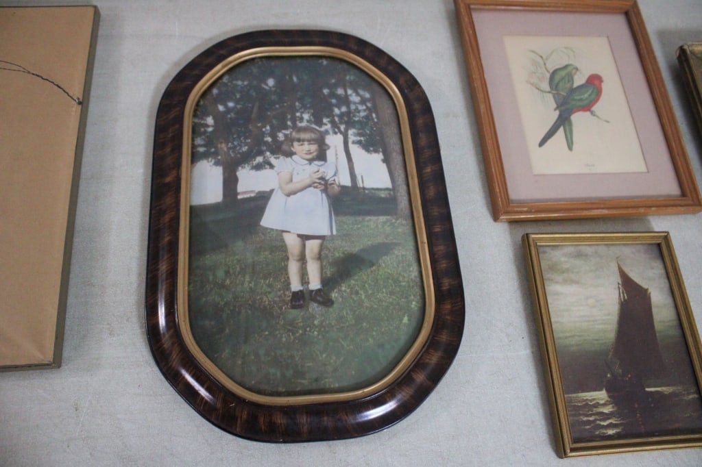 5 Antique Framed Prints Includes J Gould - 8
