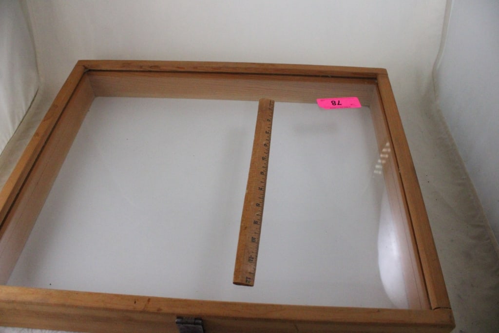 Wood and Glass Display Case - 4