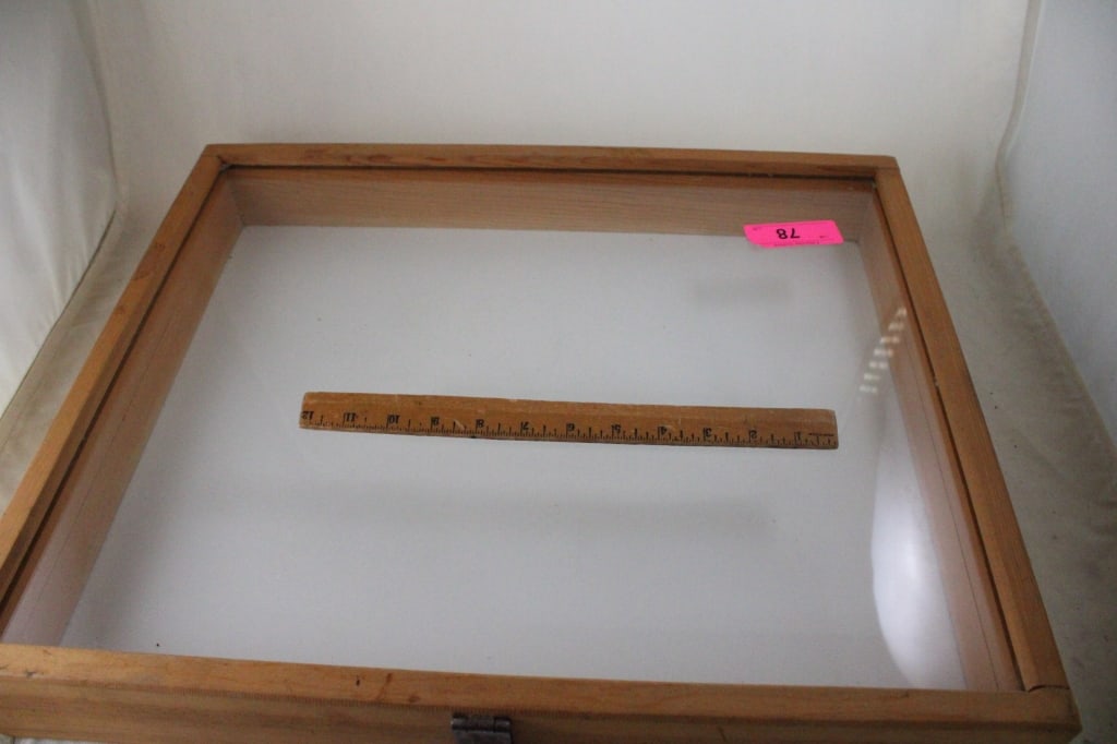 Wood and Glass Display Case - 5