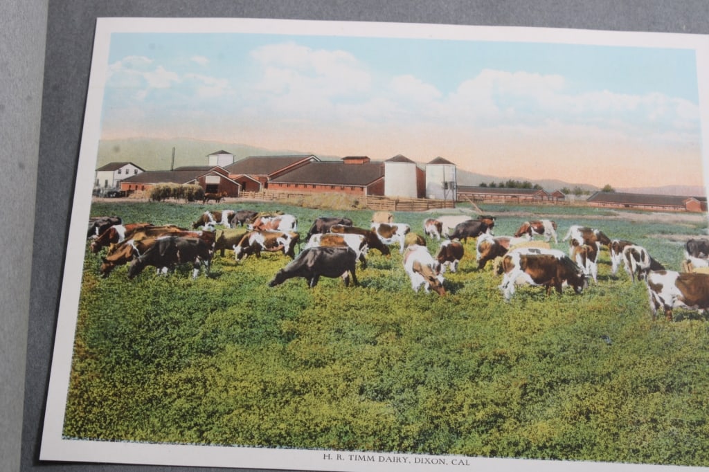 Victorian Postcards & Trade Cards Albums and - 19