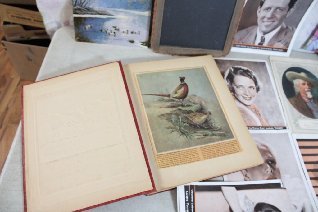 Bird Scrapbook, Country School Antique Slate More - 10