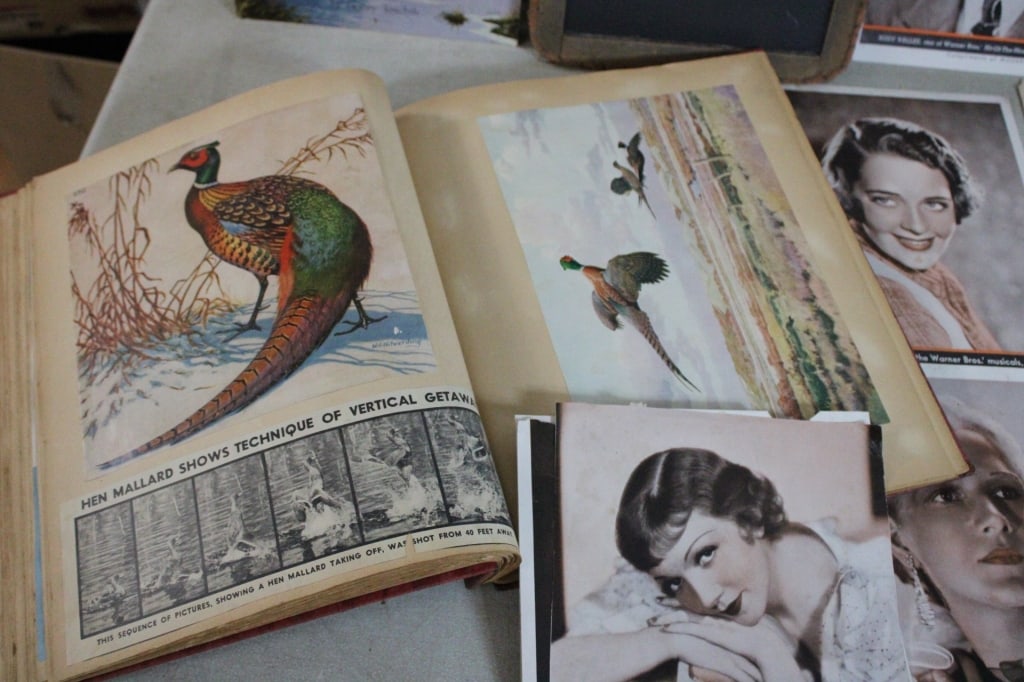 Bird Scrapbook, Country School Antique Slate More - 2