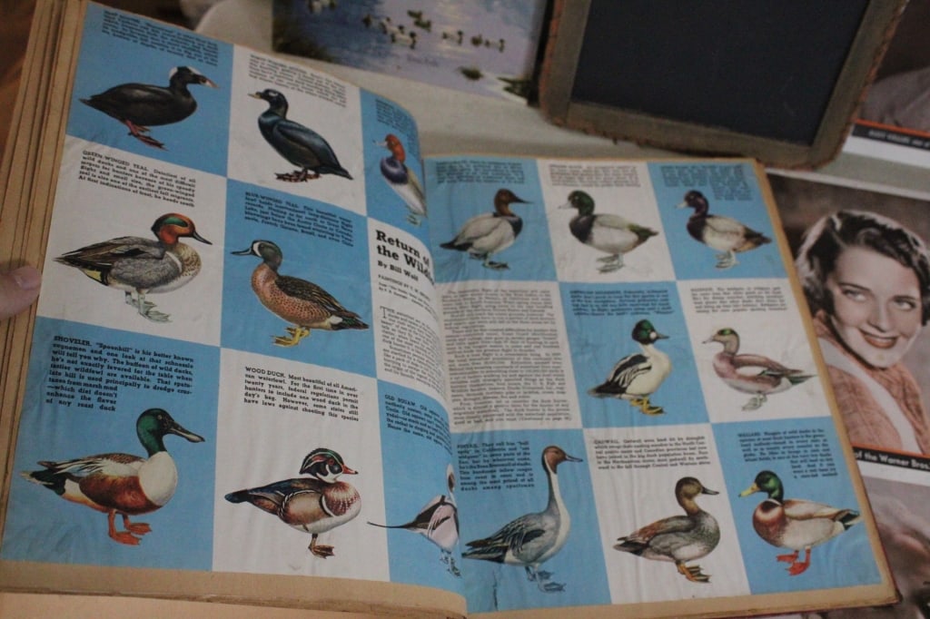 Bird Scrapbook, Country School Antique Slate More - 6