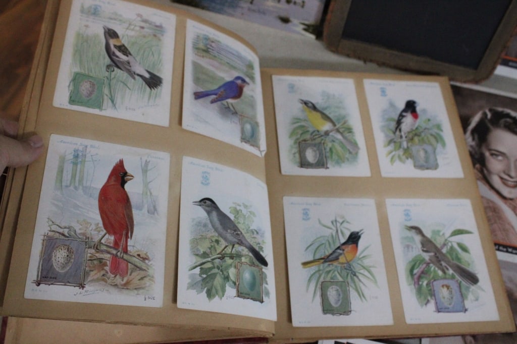 Bird Scrapbook, Country School Antique Slate More - 7