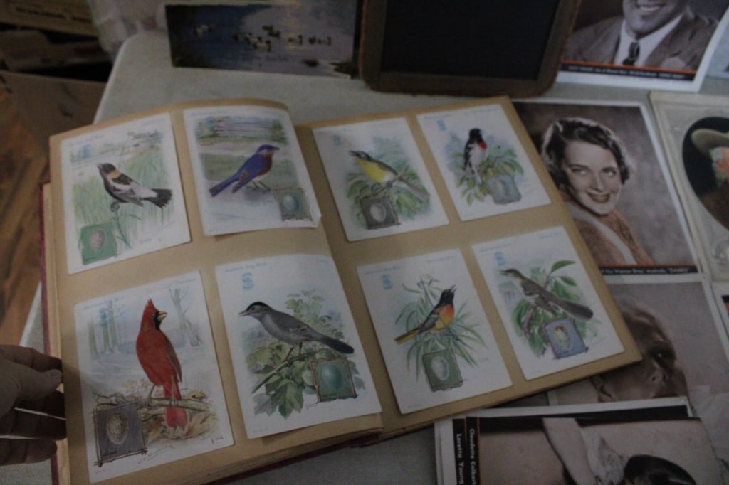 Bird Scrapbook, Country School Antique Slate More - 8