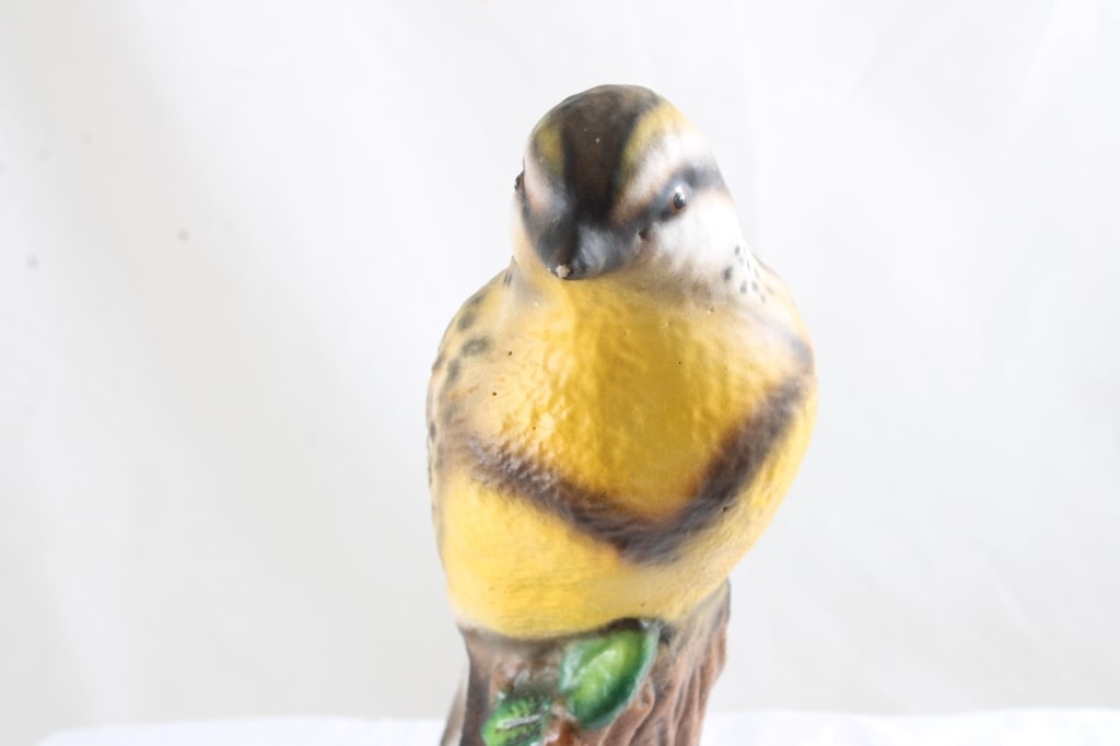 Meadowlark Garden Statue, Arkansas Mascot Figurine - 13