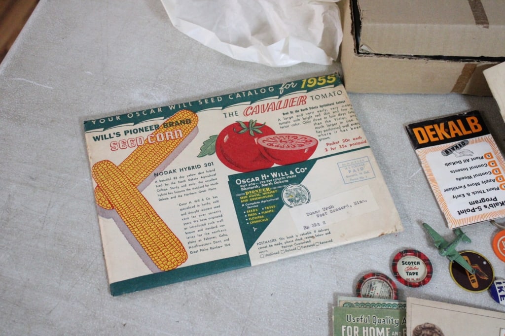 Aladdin Wick Cleaner, Will Rogers & Other Ephemera - 3
